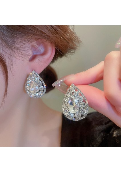 Gümüş Iğne Işık Lüks Moda Elmas Zirkonya Çiçekler Püskül Küpe Soğuk Küpe Net Kırmızı Kişilik Küpe Kadın (Yurt Dışından) indirimleri