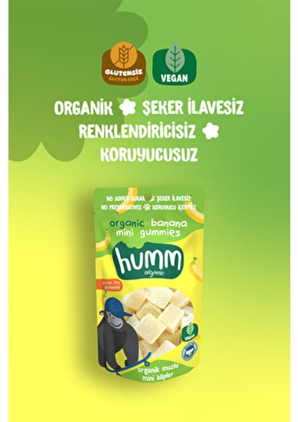 Organik Glutensiz Vegan Mangolu Mini Küpler Atıştırmalık Paketi - 6 Adet Doğal İçeriklerle indirimleri