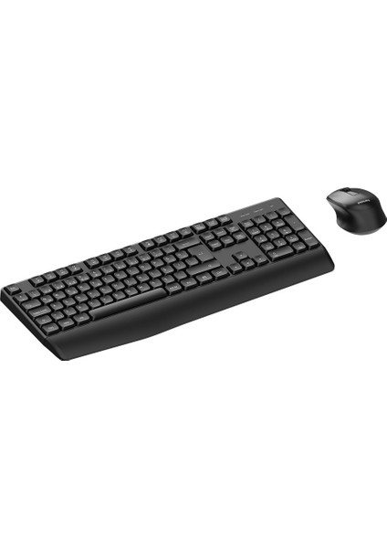 Phılıps SPT6348B Kablosuz Standart Siyah Q Klavye+Mouse fiyatları