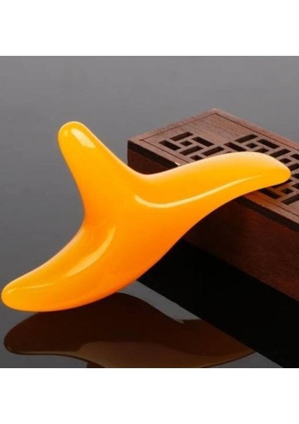 Akupunktur Akupres Aleti̇ Nrd