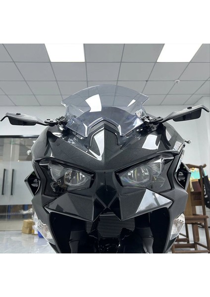 Motosiklet Yan Kanat Kiti Spoıler Sağlığı Kawasakı Nınja Için Sadece Banıllı Bana Kiti 500 400 NINJA500 (Yurt Dışından) fırsatları