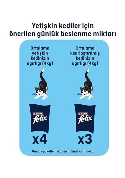 Felix Tasty Shreds Somonlu (26 x 80 Gr) fiyatları