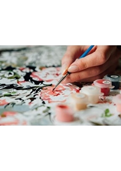 Hobi Sanat Sayılarla Boyama Tuval Seti Fırça Boya Dahil (Çıtalı) 40x50 cm İlkbahar