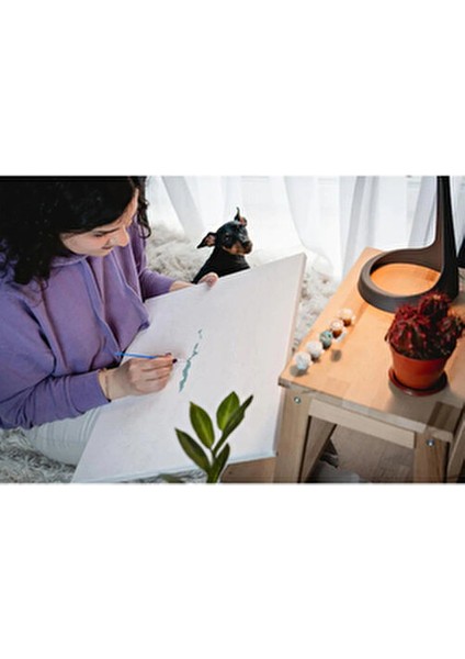 Hobi Sanat Sayılarla Boyama Tuval Seti Kedi ve Sonbahar 40X50 cm Çıtalı Fırça ve Boya Dahil