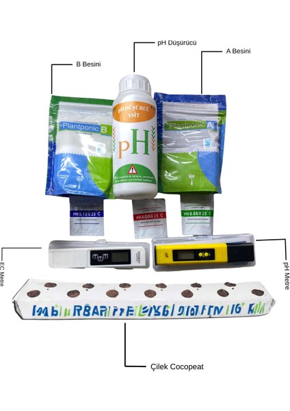 Topraksız Tarım Çilek Başlangıç Seti