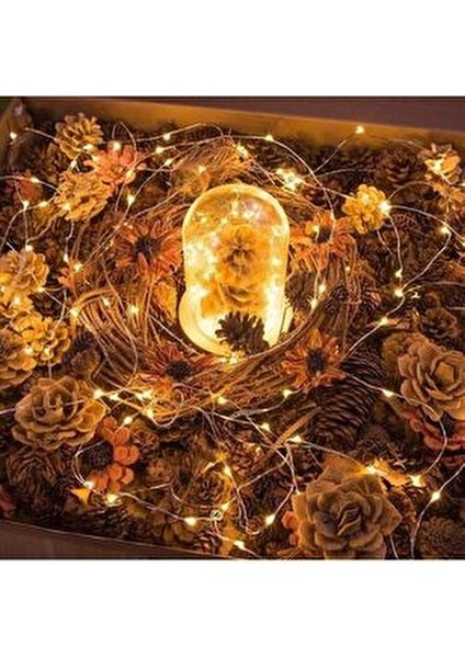 5 Metre Pilli Peri Dekor Işık Günışığı 3200 Kelvin Su Geçirmez Özellikli Lamba