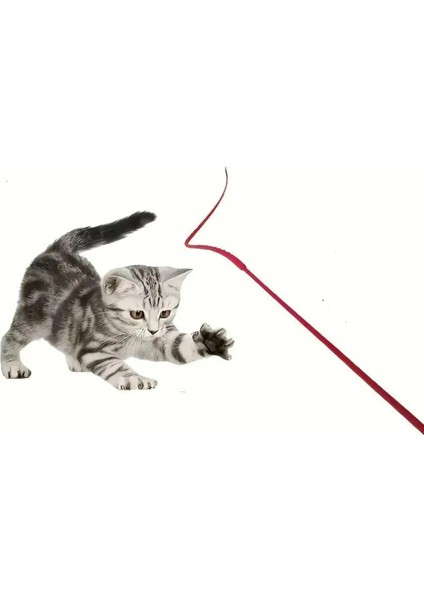 Delirten Çubuk Pati Çeker Kırmızı Kedi Oltası fırsatları