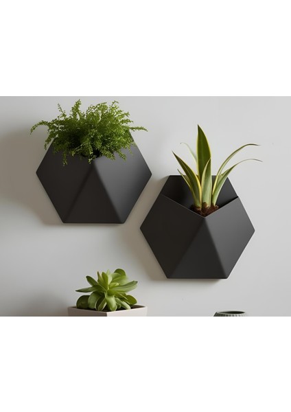 Duvar Saksısı Ev Dekorasyonu