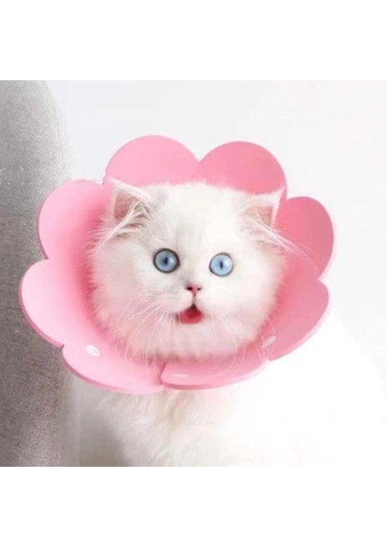 Evcil Hayvan Xl Boy Keçe Elizabeth Yakalığı fırsatları