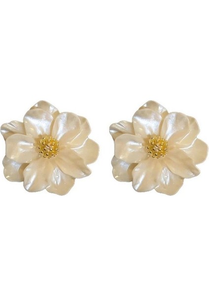 Çok Yönlü Püskül Kolye Sivrisinek Çanak Küpe Kulak Delikleri Olmadan Kadın Kulak Kemiği Klip Küpe Hafif Lüks Kıdemli Küpe Duygusu Küpe Küpe (Yurt Dışından) modelleri