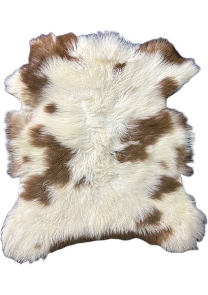 Naturel Doğal Kahve Alacalı Medikal Koyun Postu - Boyasız Doğal Koyun Postu fiyatları