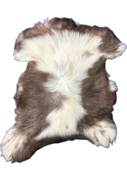 Naturel Doğal Kahve Alacalı Medikal Koyun Postu - Boyasız Doğal Koyun Postu modelleri