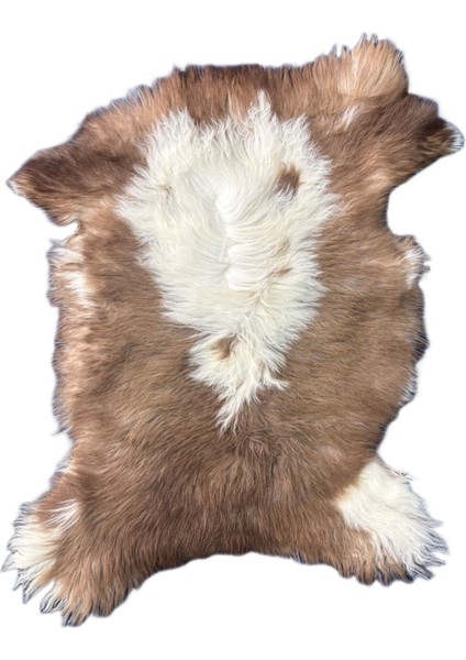 Naturel Doğal Kahve Alacalı Medikal Koyun Postu - Boyasız Doğal Koyun Postu indirimleri