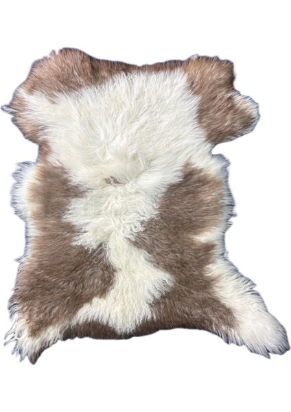 Naturel Doğal Kahve Alacalı Medikal Koyun Postu - Boyasız Doğal Koyun Postu