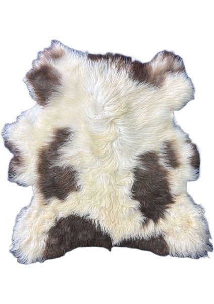 Naturel Doğal Kahve Alacalı Medikal Koyun Postu - Boyasız Doğal Koyun Postu