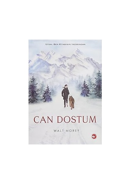 Sesini Arayan Zürafa + Ayşegül - Tiyatro Oyuncusu + Bay Güçlü + Deniz Altı - Boyama Kitabım + 6 Kitap Set