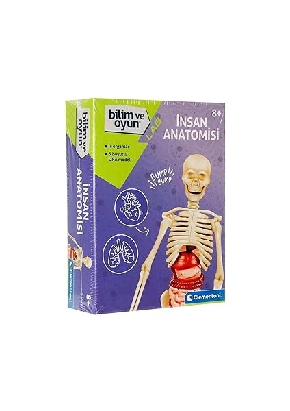 Bilim ve Oyun - Insan Anatomisi Oyuncak