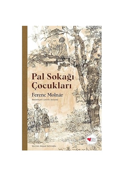 Dostum Çino + Kaplumbağa + Küçük Bayan Düzenli + Şaşkın Vini: Sakar Cadı + 5 Kitap Set