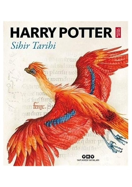 La Fontaine'in Masalları (Karton Kapak) + Çağlar Makarna Pişiriyor: Ilk Okuma Kitabım + Harry Potter: Sihir Tarihi Set modelleri