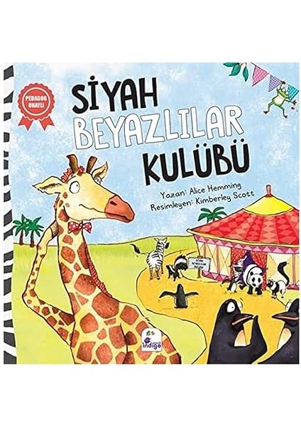 Değirmenimden Mektuplar – Kısaltılmış Metin + Koca Popolu Ayı + Ayşegül - Tiyatro Oyuncusu + 30 Kitap Set