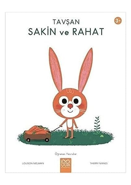 Öpücük Ne Renktir? + 365 Bulmaca ve Akıl Oyunu: Büyük Nöron Testi Başlasın! + 8 Kitap Set