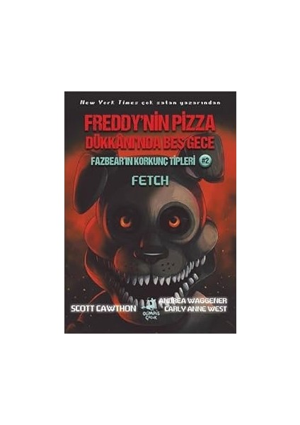 Görünmez Ip + Koca Popolu Ayı + 17 Kitap Set fırsatları