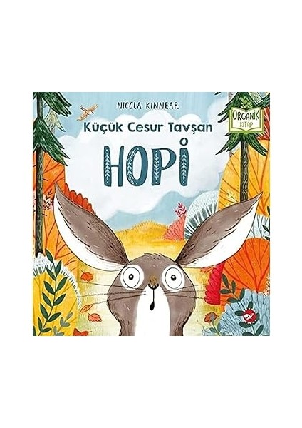 Suda Kaybolmak + Okul Öncesi Zeka Alıştırmaları + Sabırsız Tırtıl (Ciltli) + Karne Hediyesi At Kestanesi + 5 Kitap Set