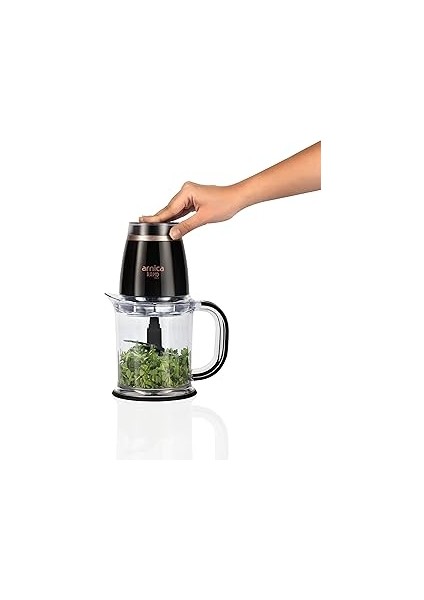 Rapid Rose Doğrayıcı, 1.2 L Hazne, 500 W, Paslanmaz Çelik Bıçak, Rose