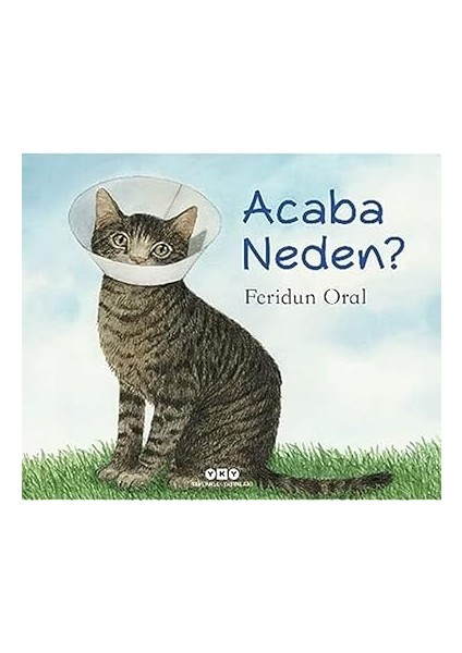 Acaba Neden? + Eğlenceli Gezi - Güzel Ülkem Türkiye 3: Eğlenceli Gezi 62 + 5 Kitap Set