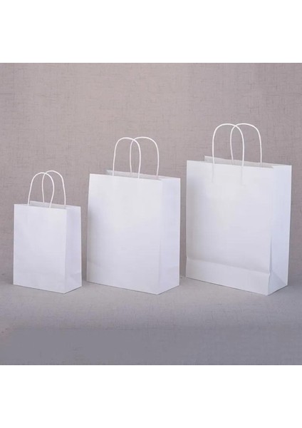 32X17X39 Burgu Saplı Beyaz Kağıt Kraft Hediyelik Çanta - 250 Adet modelleri