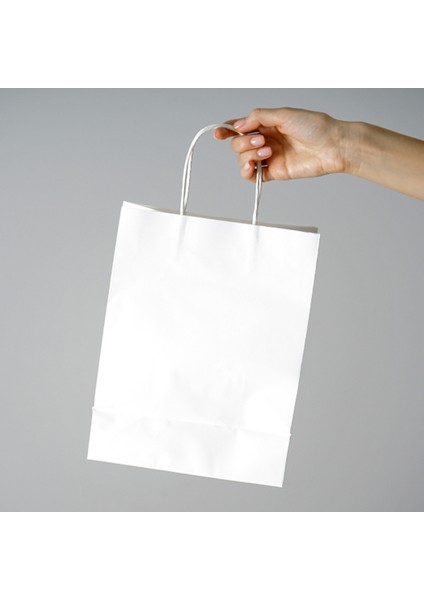 32X17X39 Burgu Saplı Beyaz Kağıt Kraft Hediyelik Çanta - 250 Adet indirimleri