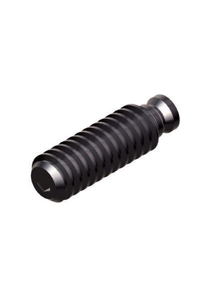 200mm GERARDI MENGENE KİLİTLEME VİDASI ART.356 T.5