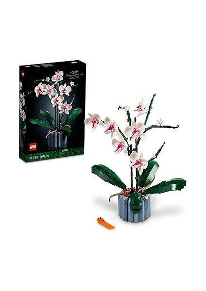 ǀ Disney Karlar Ülkesi 2025 Yılbaşı Takvimi 43273 – 5 Yaş ve Üzeri Prenses Seven Çocuklar Için Yaratıc... + 5 LEGO Set indirimleri