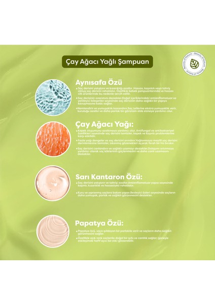 Çay Ağacı Yağlı Şampuan - Tea Tree Oil Shampoo fırsatları