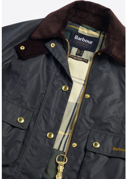 Cropped Beadnell Yağlı Ceket SG51 Sage-Ancient