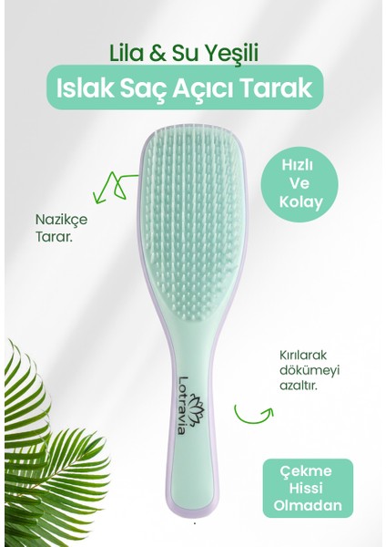 Saç Açıcı Tarak Kırılma Karşıtı Dolaşık Açıcı 2 Katmanlı Tasarım Lila Su Yeşili