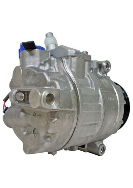 ACP891000P Klıma Kompresoru Mercedes S-Class W221 C216 W222 A0022306711