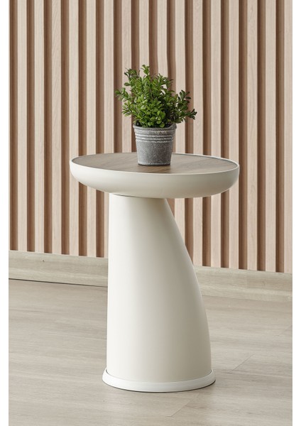 Elips Sehpa,tekli Sehpa,yan Sehpa,zigon Sehpa - Aytaşı & Ud Renk Tabla