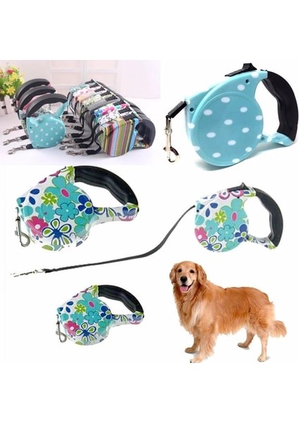 Buğz Desenli Köpek Tasması - Pup Style