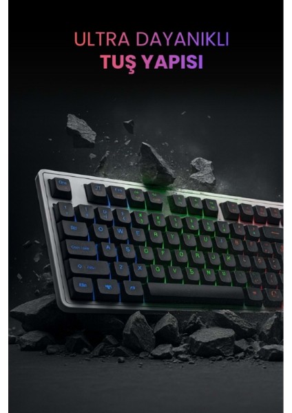 Kablolu Işıklı Gaming Standart Türkçe Q Klavye ve Mouse Seti fiyatları