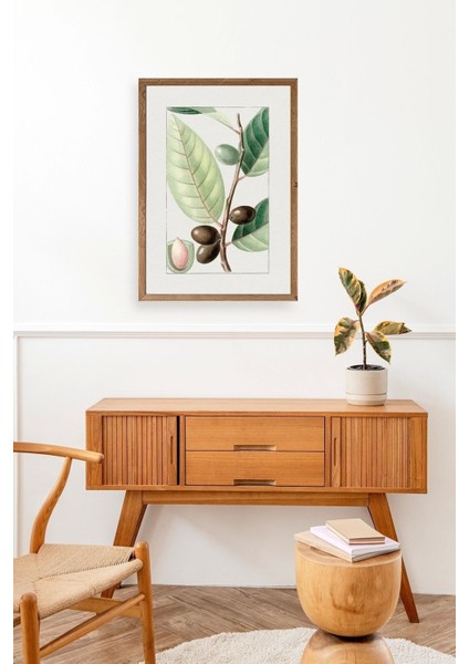 Zeytin Dalı Ahşap Çerçeveli Tablo modelleri