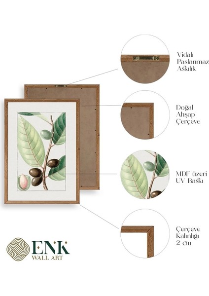 Zeytin Dalı Ahşap Çerçeveli Tablo fırsatları