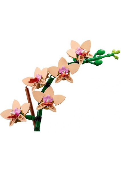 Buğz 10343 LEGO Iconic Botanicals Mini Orkide 274 Parça +18 Yaş fırsatları