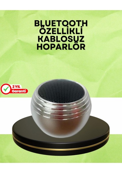Buğz Taşınabilir Bluetooth Hoparlör Yüksek Ses Kaliteli Mini Tasarım