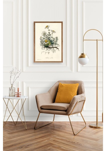 Papatya Ahşap Çerçeveli Tablo fiyatları