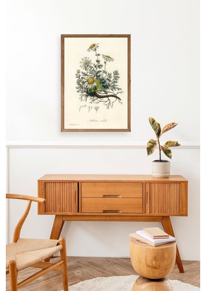 Papatya Ahşap Çerçeveli Tablo modelleri