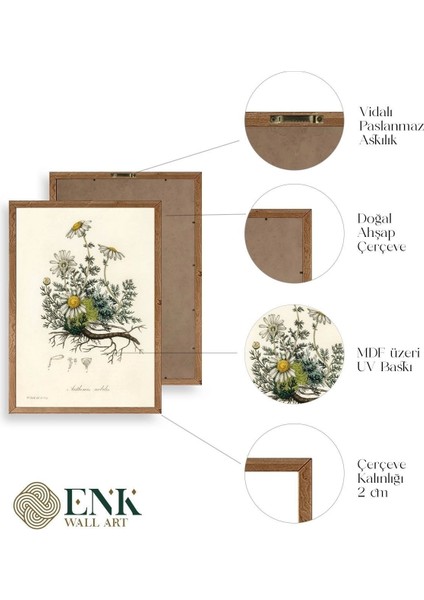 Papatya Ahşap Çerçeveli Tablo fırsatları