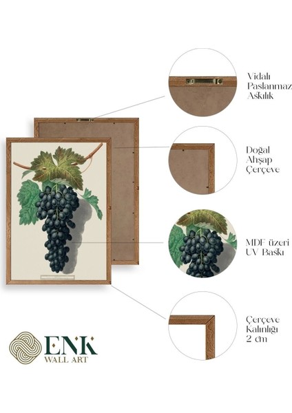 Üzüm Ahşap Çerçeveli Tablo fırsatları