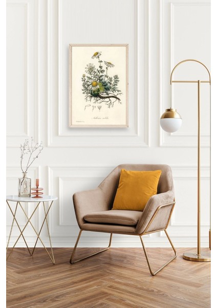 Papatya Ahşap Çerçeveli Tablo fiyatları