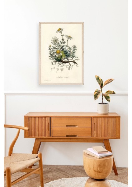 Papatya Ahşap Çerçeveli Tablo modelleri